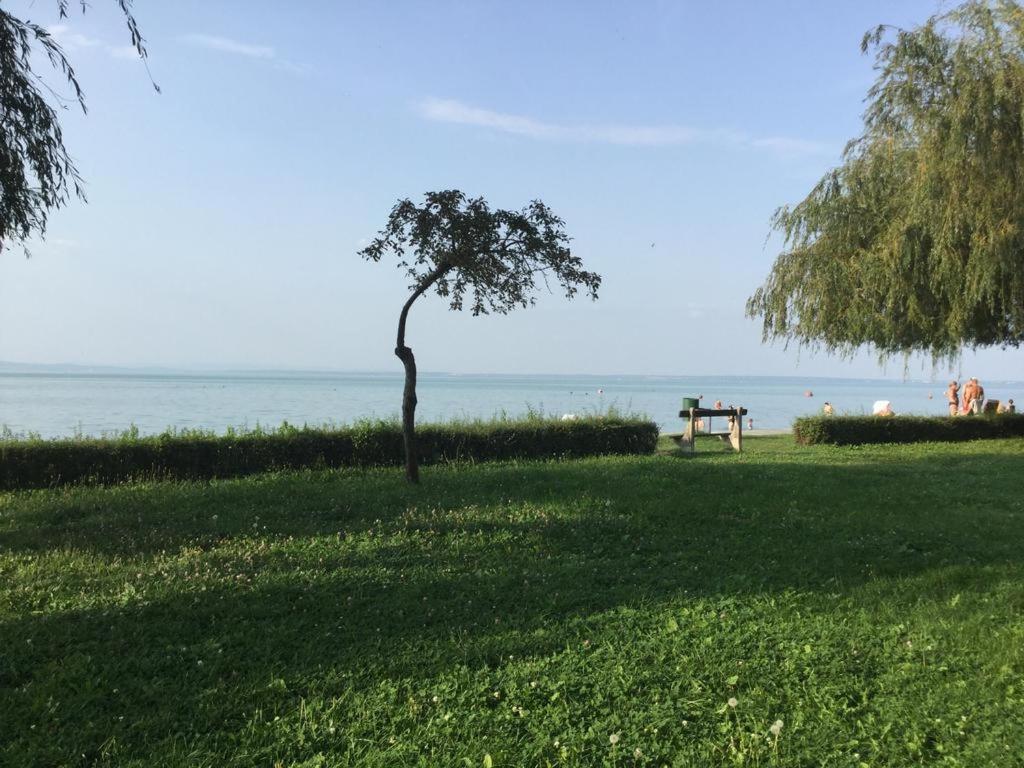 Apartman 511 شيوفوك المظهر الخارجي الصورة